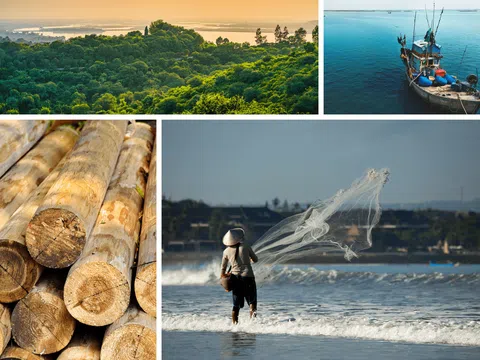 Tháng 4/2025: Thủy sản phát triển khá nhờ thời tiết thuận lợi, khai thác gỗ được đẩy mạnh