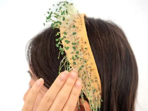 "Cấy" hạt giống vào các sản phẩm thời trang