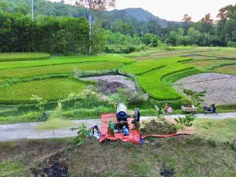 Hạn chế đốt rơm, rạ sau thu hoạch vụ mùa để đảm bảo môi trường