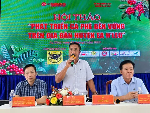 Đắk Lắk: Huyện Ea H’leo tìm giải pháp để phát triển bền vững cây cà phê