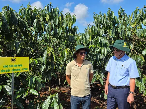 Canh tác thông minh sẽ giúp ngành cà phê khu vực Tây Nguyên vượt qua mọi thách thức