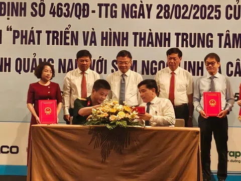 Ứng dụng công nghệ để bảo tồn, phát triển thương hiệu sâm Ngọc Linh