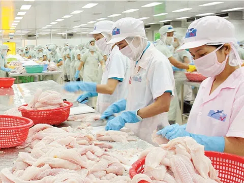 Cho phép tái xuất khẩu cá rô phi, Brazil mở cửa đàm phán cho cá tra Việt Nam