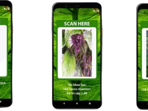 Nhận dạng cây thuốc bằng ứng dụng di động