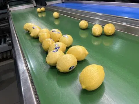 Nutrano Produce Group thử nghiệm thành công nhãn dán trái cây tự phân hủy