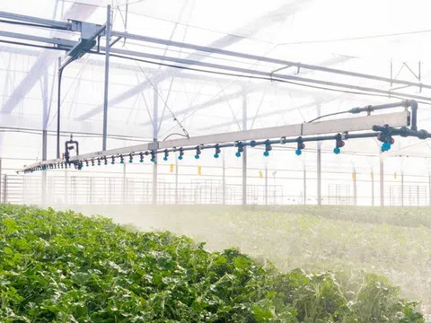 Cuộc cách mạng thầm lặng trong khử trùng nước nông nghiệp giúp giảm chi phí bảo trì hàng năm lên đến 40%