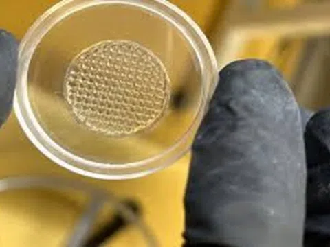 Da in 3D thay thế cho thử nghiệm trên động vật