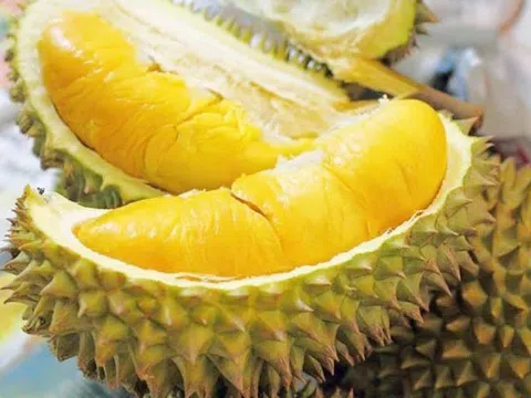 Thúc đẩy sản xuất và xuất khẩu sầu riêng bền vững