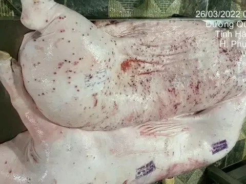 Cần sớm làm rõ việc C.P. Việt Nam bị "tố" trộn thịt heo bệnh để bán ra thị trường