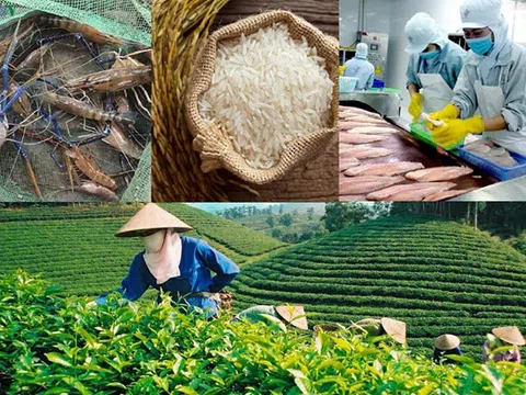 Công điện của Thủ tướng Chính phủ về chủ động triển khai các biện pháp bảo đảm sản xuất, chế biến, tiêu thụ và xuất khẩu nông sản