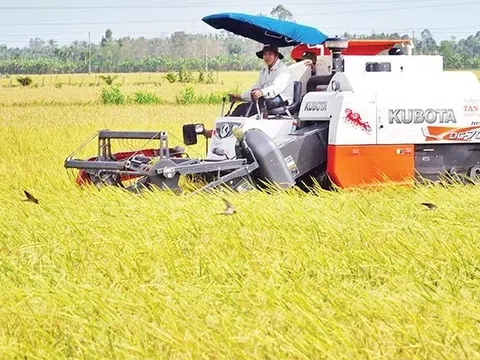 Bảo đảm an toàn sản xuất lúa hè thu