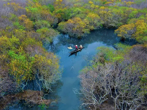 Phê duyệt Dự án “Lồng ghép chống chịu biến đổi khí hậu và bảo vệ môi trường để phát triển các đô thị xanh loại II”