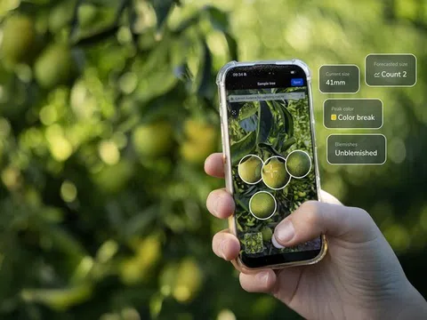 TrueFruit: Ước tính năng suất tự động bằng thiết bị nằm gọn trong lòng bàn tay