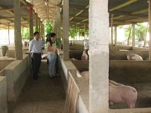 Nghiên cứu lựa chọn công nghệ phù hợp xử lý chất thải (sinh hoạt chăn nuôi) quy mô vừa và nhỏ phục vụ Chương trình xây dựng nông thôn mới vùng Bắc Trung Bộ
