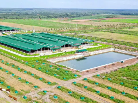 Thaco Agri sẽ hoàn thành tầm nhìn trở "Tập đoàn nông nghiệp hàng đầu ASEAN vào năm 2025”?