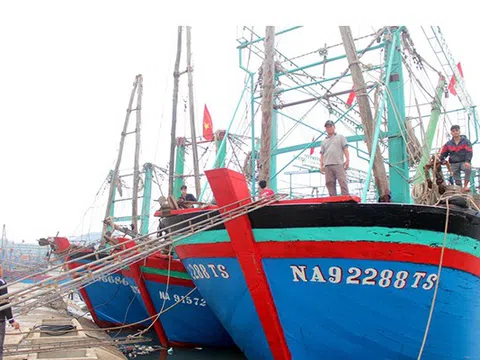 Nghệ An ban hành Quy chế phối hợp nhằm quản lý và khai thác dữ liệu giám sát tàu cá