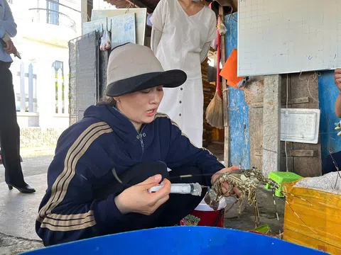 Phú Yên: Phát hiện cơ sở bơm tạp chất vào tôm hùm chết để bán ra thị trường