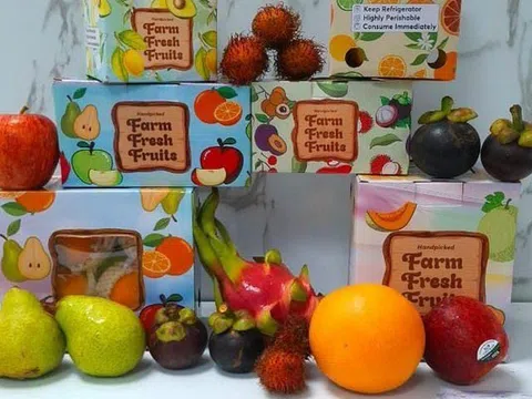 Bao bì giấy sinh thái: Hướng đi bền vững cho ngành thực phẩm