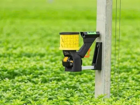 Robcam: Máy phát hiện sâu bệnh thông minh mới