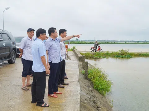 Tập trung lực lượng, phương tiện để hạn chế thấp nhất thiệt hại diện tích sản xuất nông nghiệp do ngập úng