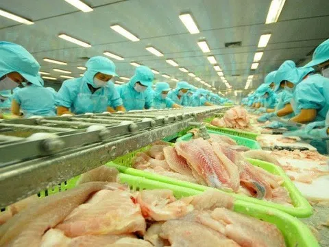 Mỹ miễn thuế chống bán phá giá cho 7 doanh nghiệp cá tra Việt Nam