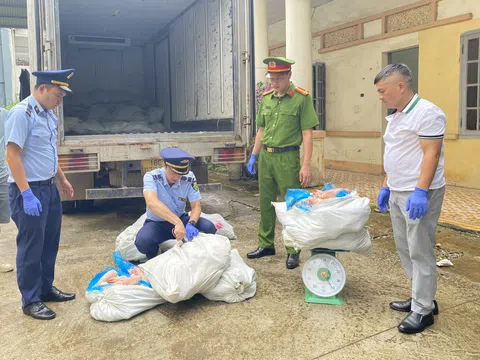 Phát hiện, tạm giữ 1 tấn móng giò lợn không rõ nguồn gốc, xuất xứ