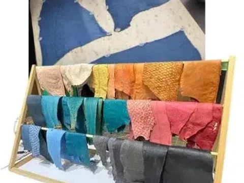 Da cá: Từ rác thải đến xu hướng thời trang bền vững tại Nhật Bản