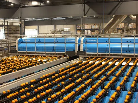 Áp dụng công nghệ học sâu LUCAi™ trong phân loại trái cây
