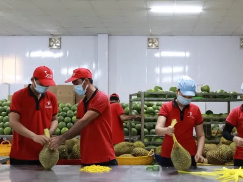 Xuất khẩu nông sản hướng tới mục tiêu 70 tỷ USD