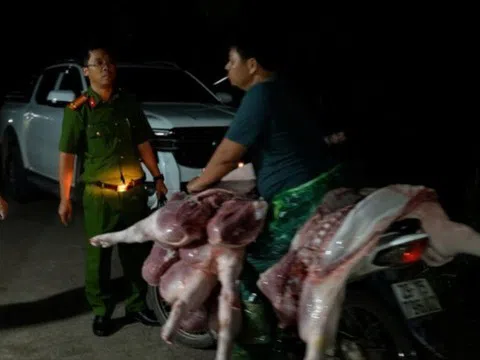 Công an Hà Nội triệt phá đường dây giết mổ tiêu thụ thịt bệnh ra thị trường