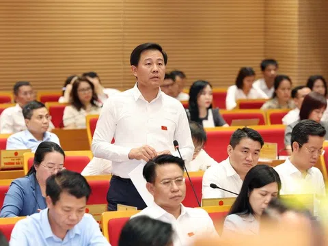 Cần tăng quản lý của chính quyền địa phương vào sản xuất rau an toàn