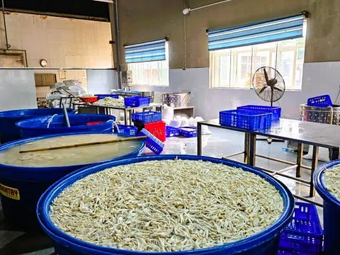 Thanh Hóa: Phát hiện hơn 13 tấn chân gà ngâm hóa chất