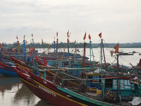 Cấm các loại tàu thuyền và phương tiện vận tải ra khơi từ 05 giờ, ngày 21/7/2025