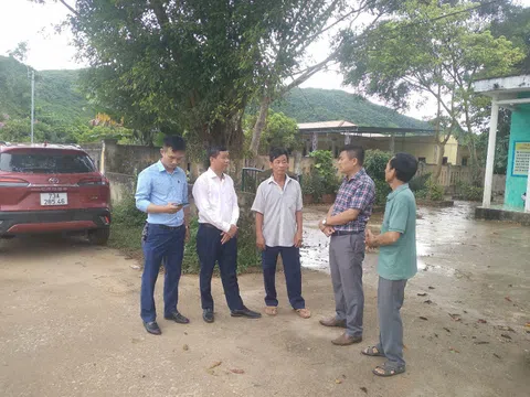 Quảng Trị: Xác minh thông tin heo chết bị vứt xuống suối đầu nguồn sông Son
