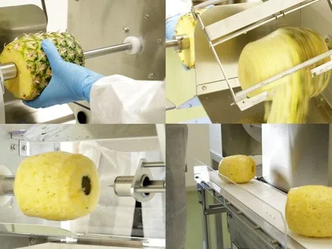Ra mắt máy gọt vỏ và khoét lõi dứa FAP-3000 vào tháng 10