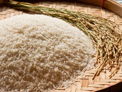 Việt Nam duy trì vị trí đối tác xuất khẩu gạo lớn thứ 3 tại thị trường Singapore