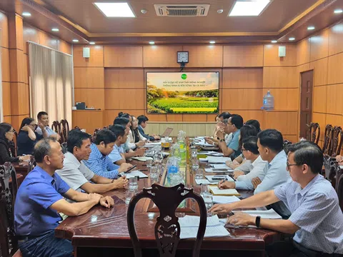 Xây dựng hệ sinh thái nông nghiệp thông minh và bền vững tại Cà Mau