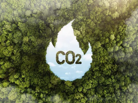 Từ 1/8/2025: Việt Nam bắt đầu hình thành thị trường carbon trong nước