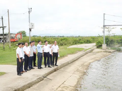 Thứ trưởng Bộ Nông nghiệp và Môi trường kiểm tra đập Thảo Long trước khi sửa chữa cấp bách