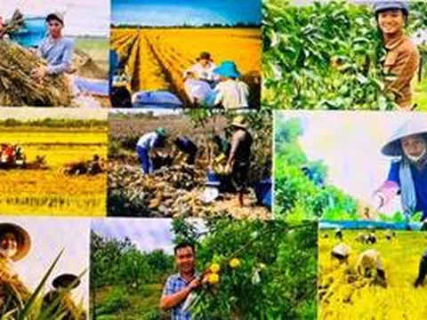 Biến phụ phẩm nông nghiệp thành tài nguyên giá trị: cơ hội vàng cho nền nông nghiệp Việt Nam