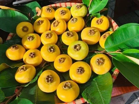Thấy thị như thể mùa thu đã về