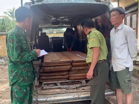 TP Huế: Bắt giữ vụ vận chuyển 16 phách gỗ trái phép