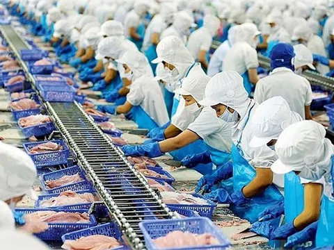 Thủy sản Việt tăng tốc xuất khẩu trước hạn thuế quan của Hoa Kỳ