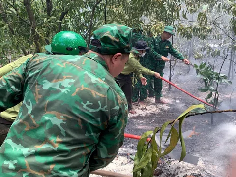 Bộ đội Biên phòng TP Huế kịp thời dập tắt đám cháy rừng tại xã Phú Vinh