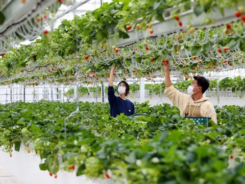Kinh nghiệm phát triển nông nghiệp Hàn Quốc