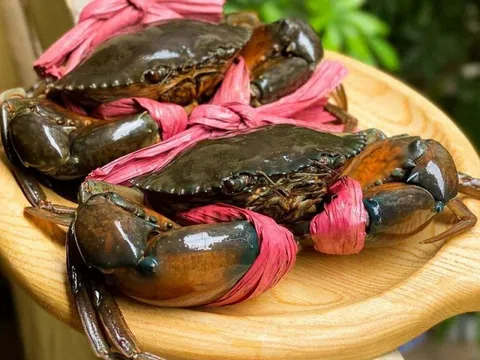 Xuất khẩu cua ghẹ Việt Nam lập đỉnh, tăng trưởng mạnh nhưng thiếu ổn định
