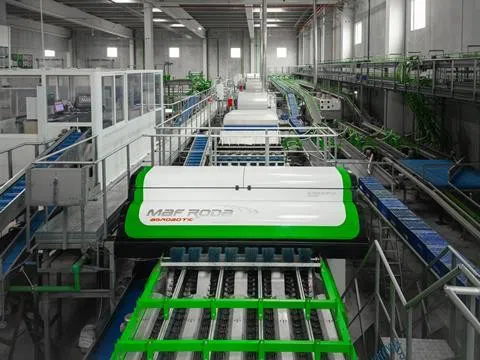 Maf Roda sử dụng AI và robot để phát triển công nghệ sau thu hoạch