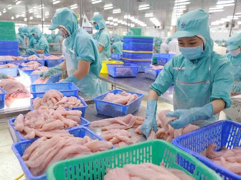 Thị trường nội địa: Một phần không thể thiếu trong chiến lược phát triển bền vững ngành cá tra?