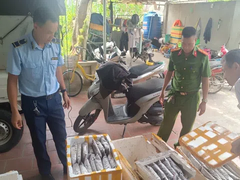Thanh Hóa: Tiêu hủy hơn 1 tấn thực phẩm bốc mùi hôi thối