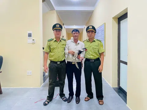 Bắt được gà lôi trắng ở công viên nước, người đàn ông ở TP Huế bàn giao cho lực lượng chức năng
